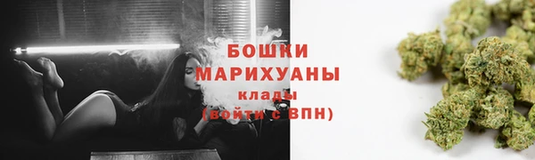 стафф Кодинск