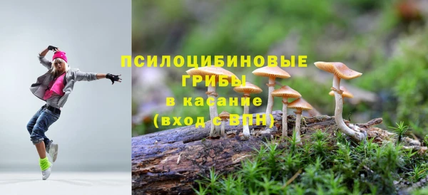 круглые Коряжма