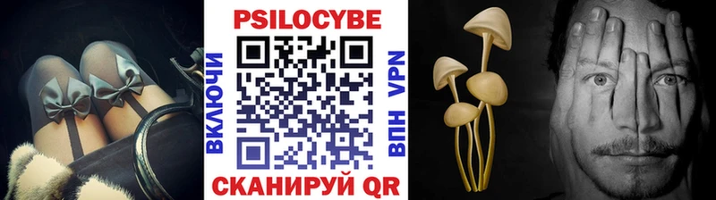 Купить  Лениногорск  Галлюциногенные грибы Psilocybine cubensis 